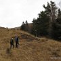 IMG_1054