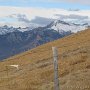 IMG_1058