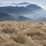 IMG_1069