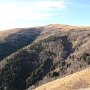 IMG_1071