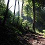 IMG_3504