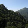 IMG_3509