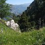 IMG_3515