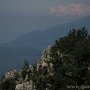 IMG_3517