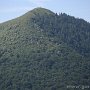 IMG_3519