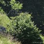 IMG_3520