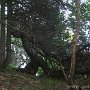 IMG_3521