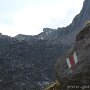 IMG_2090