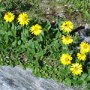 DSC00261