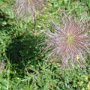 DSC00264