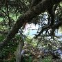 IMG_0785