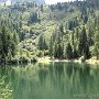 IMG_0790