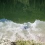 IMG_0791
