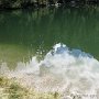 IMG_0792