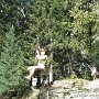 IMG_0794
