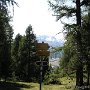 IMG_2113