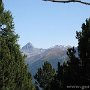 IMG_2114