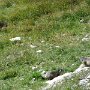 IMG_0827