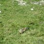 IMG_0828