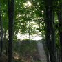 IMG_0876