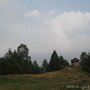 IMG_0881