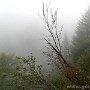 IMG_0882
