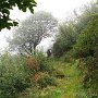 IMG_0883