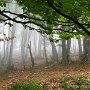 IMG_0884