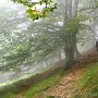 IMG_0888