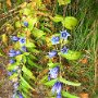 IMG_0891
