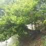 IMG_0893