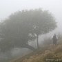 IMG_0899
