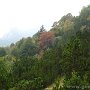 IMG_0904