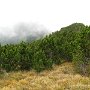 IMG_0905