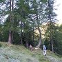 IMG_3835