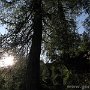 IMG_3841