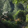 IMG_3843