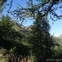 IMG_3849