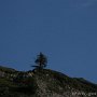 IMG_3752