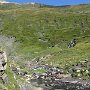 IMG_3753