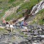 IMG_3754