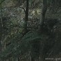 DSC00115