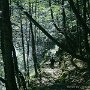 DSC00119