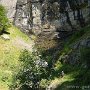 DSC00130