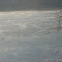 DSC00534