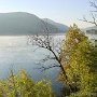 DSC00535