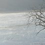 DSC00539