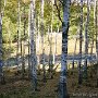 DSC00546