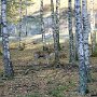 DSC00547