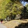 DSC00551